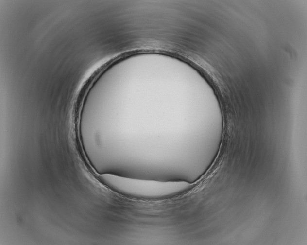 X0000112081120200908251058