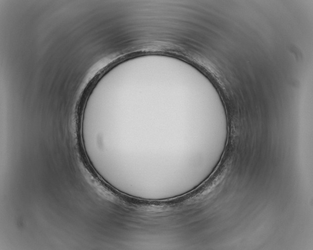 X0000112081122200908251058