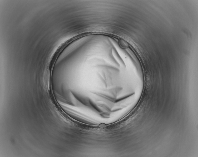 X0000112081123200908251058