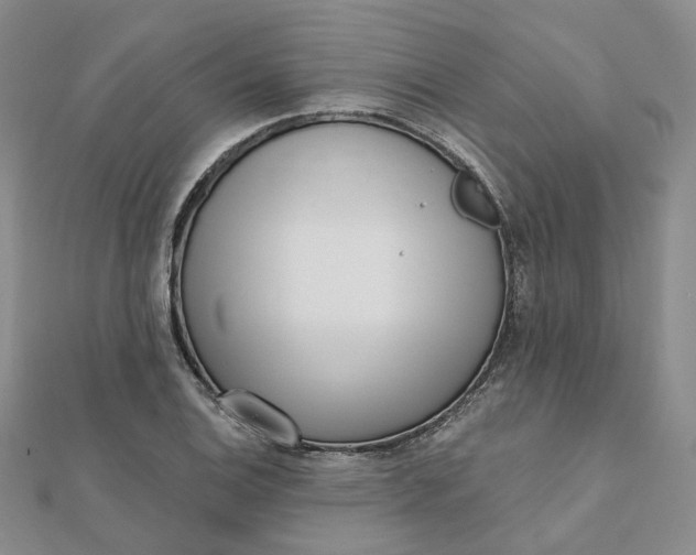 X0000112081124200908251058