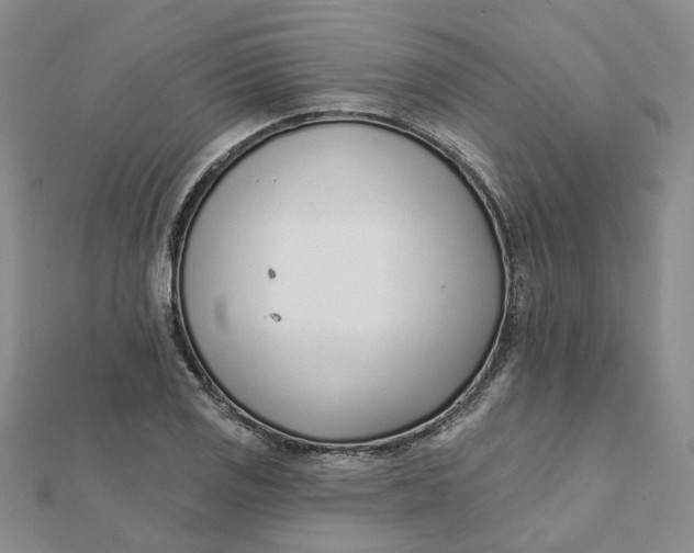 X0000112081125200908251058