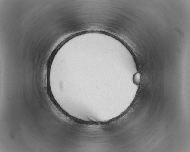 X0000112081126200908251058