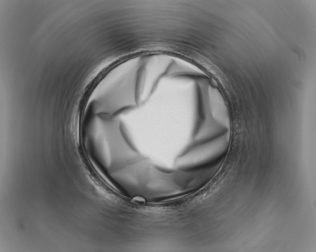 X0000112081127200908251058