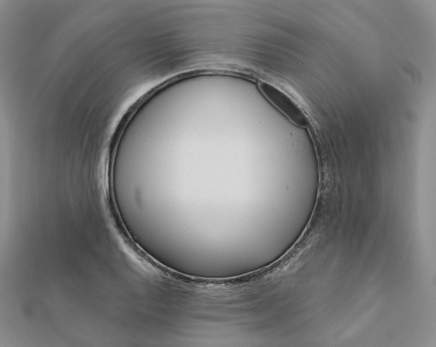 X0000112081128200908251058