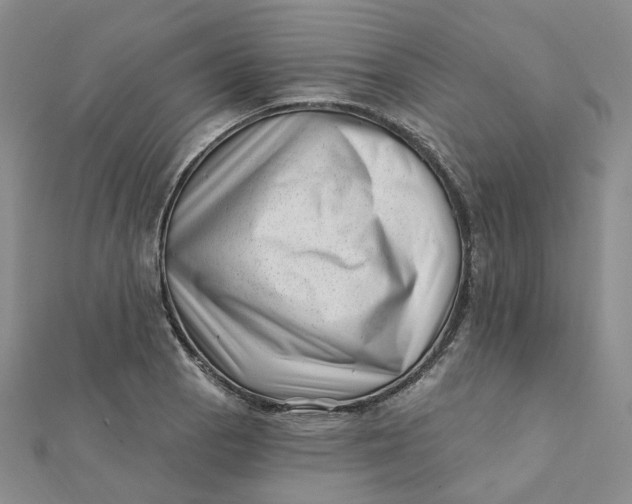 X0000112081129200908251058