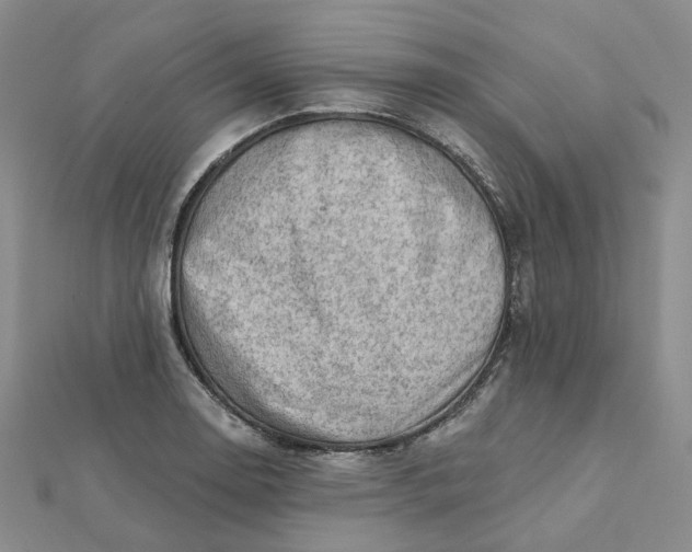 X0000112081130200908251058