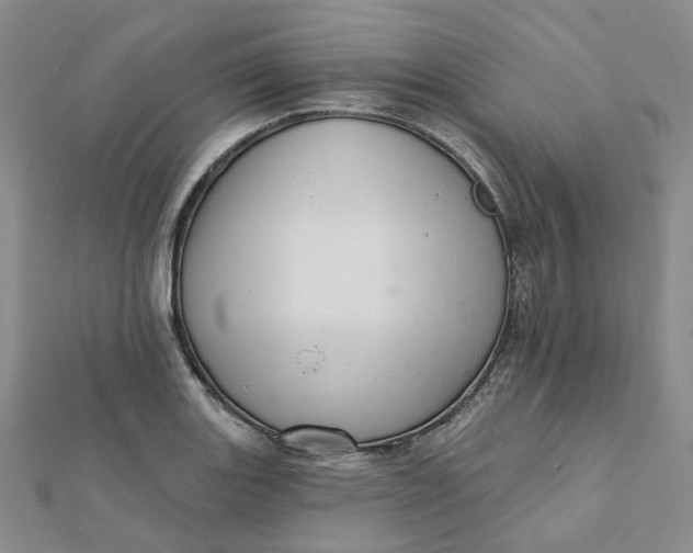 X0000112081131200908251058