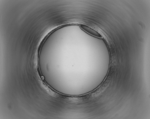 X0000112081132200908251058