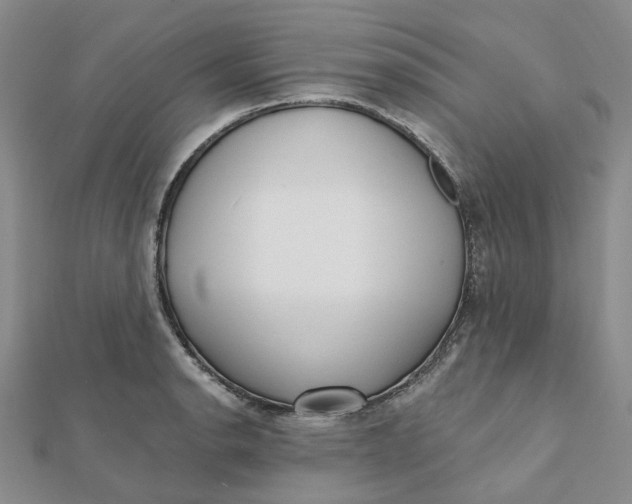 X0000112081134200908251058