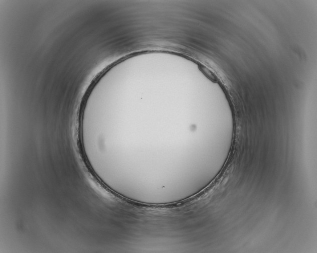 X0000112081136200908251058