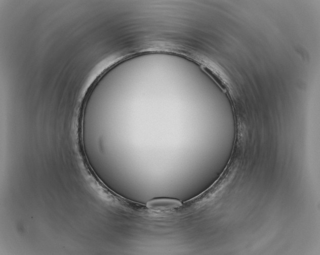 X0000112081138200908251058