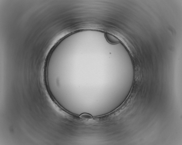 X0000112081139200908251058