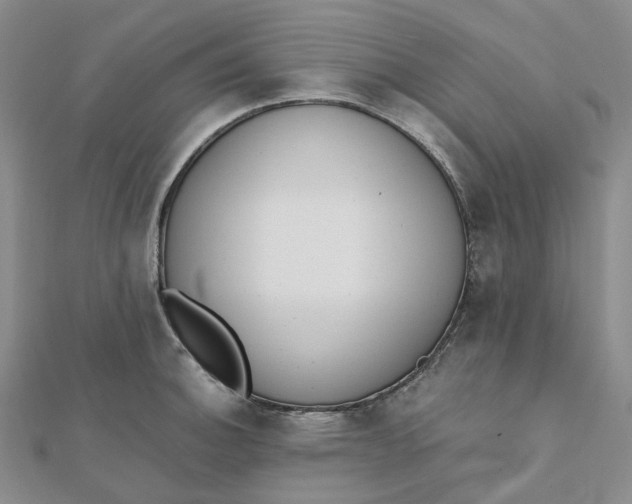 X0000112081140200908251058