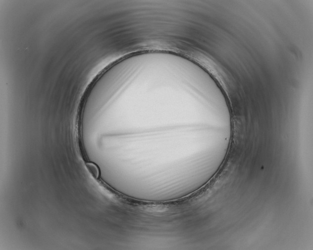 X0000112081141200908251058