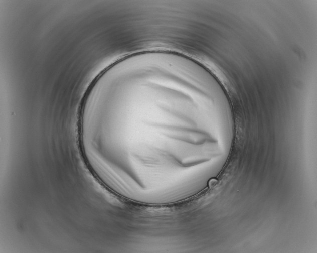 X0000112081142200908251058