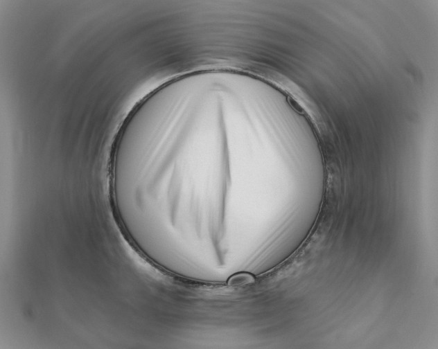 X0000112081143200908251058