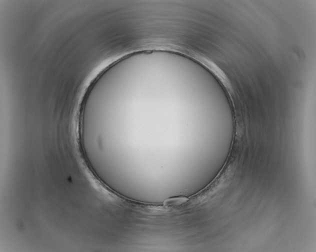 X0000112081144200908251058