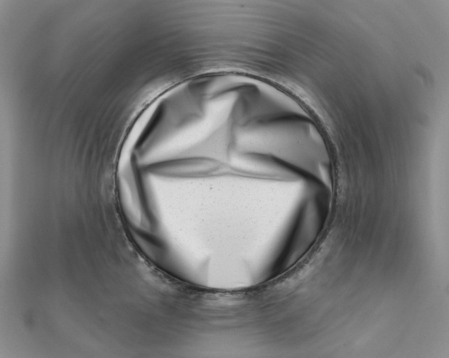 X0000112081145200908251058