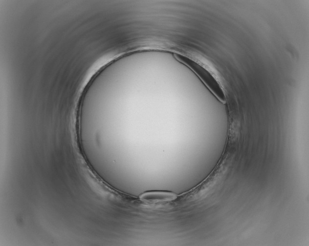 X0000112081146200908251059