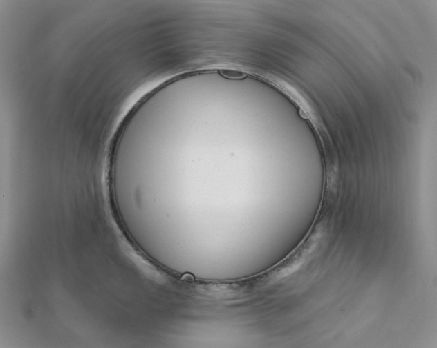 X0000112081149200908251059