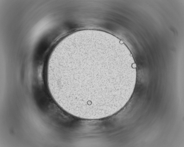 X0000112081150200908251059