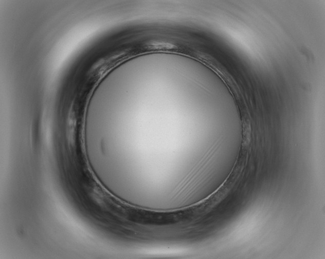 X0000112081151200908251059