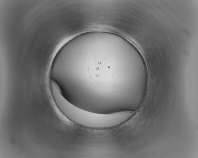 X0000112081152200908251059