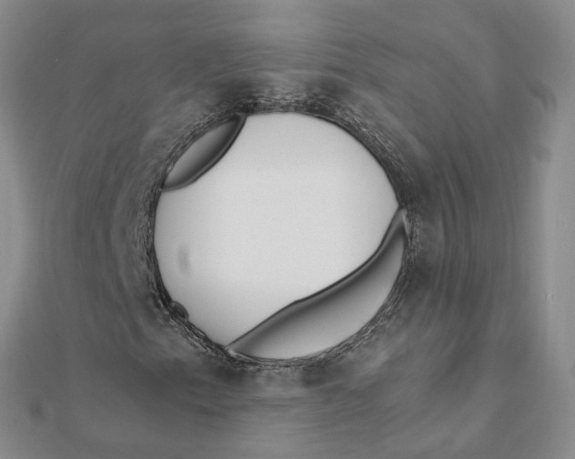 X0000112081153200908251058