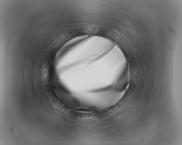 X0000112081154200908251058