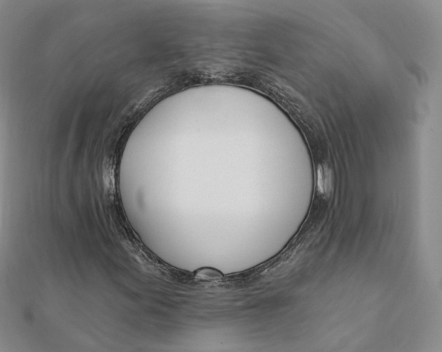 X0000112081155200908251058