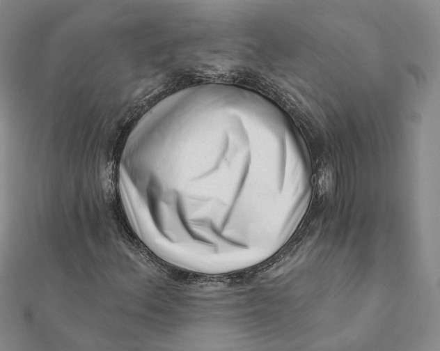 X0000112081156200908251058