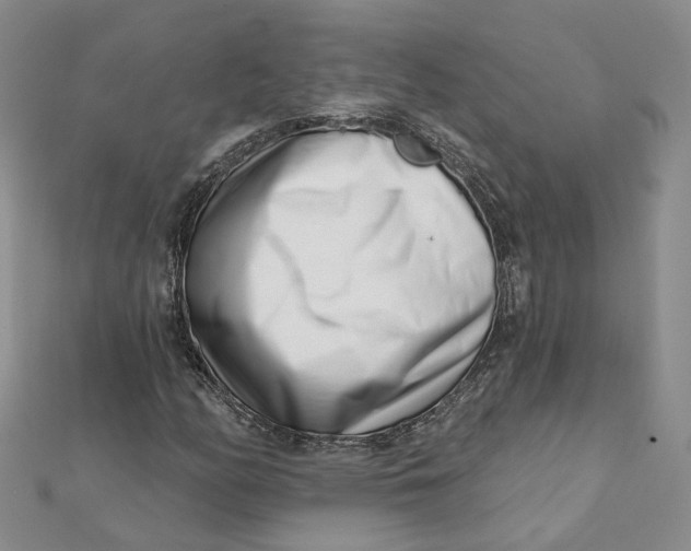 X0000112081158200908251058