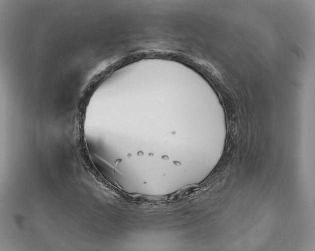 X0000112081159200908251058