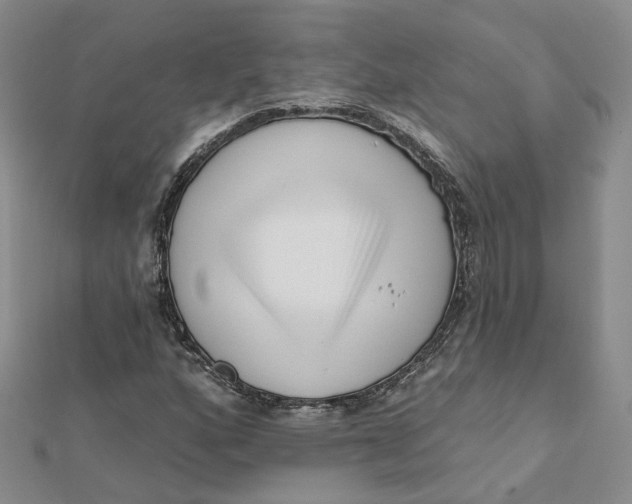 X0000112081160200908251058