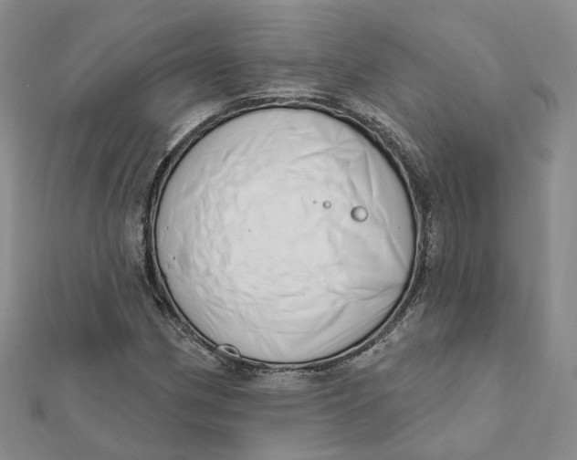 X0000112081162200908251058