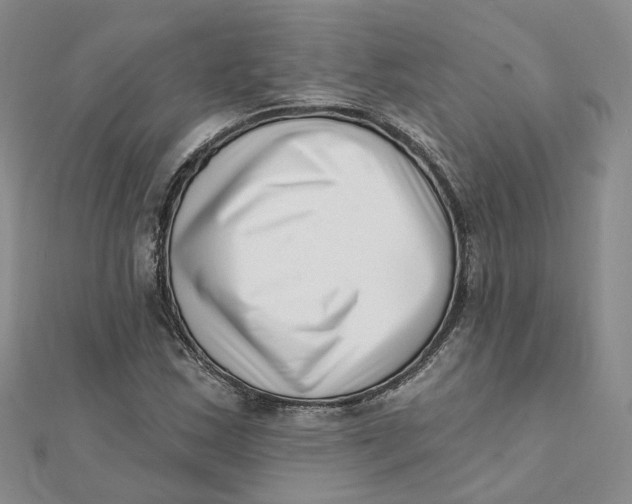 X0000112081163200908251058