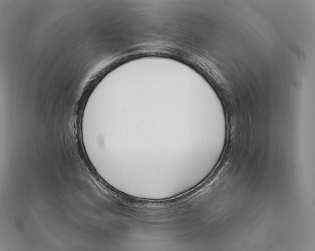 X0000112081164200908251058