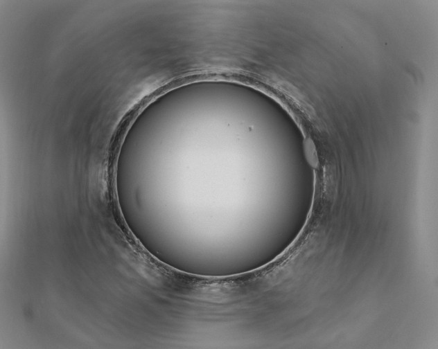 X0000112081165200908251058