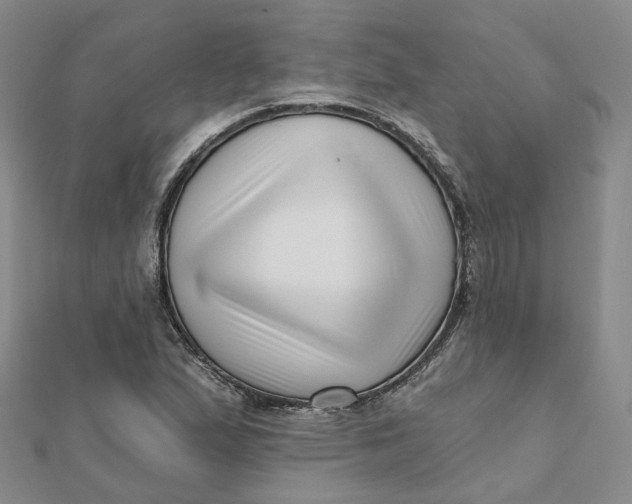 X0000112081167200908251058