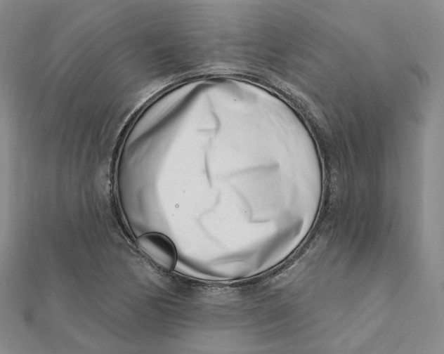 X0000112081170200908251058