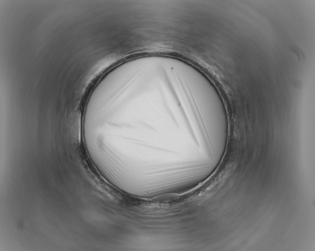 X0000112081171200908251058