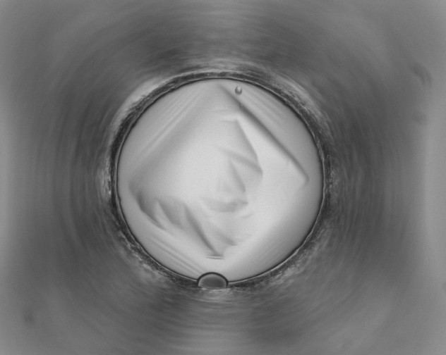 X0000112081172200908251058