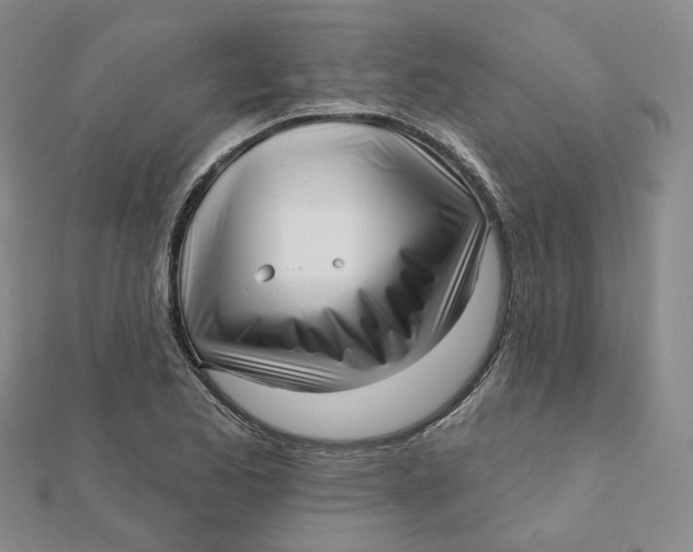 X0000112081173200908251058