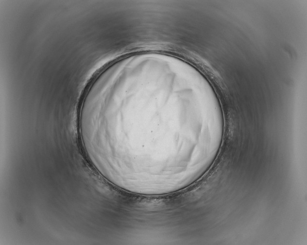 X0000112081174200908251058