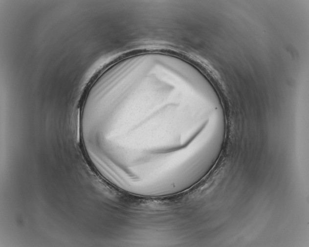 X0000112081175200908251058