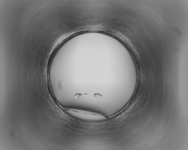 X0000112081176200908251058