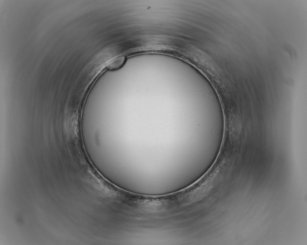 X0000112081177200908251057