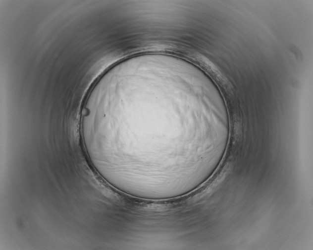 X0000112081178200908251057