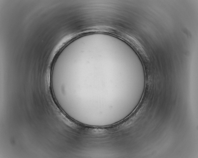 X0000112081180200908251057