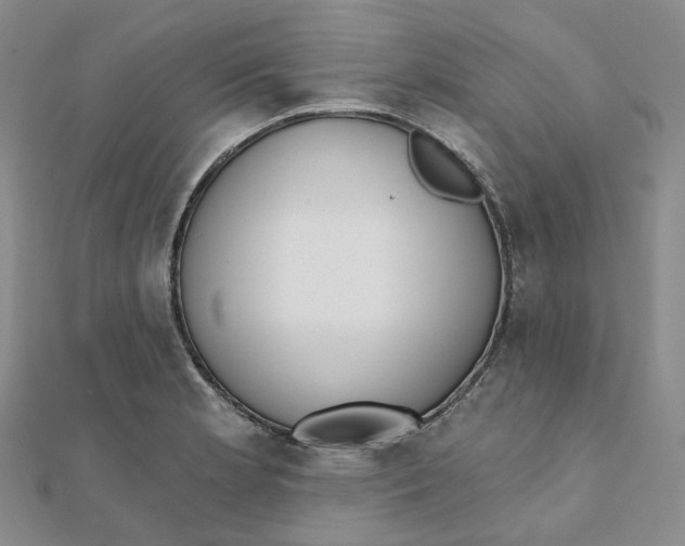 X0000112081181200908251057